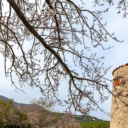 Semesterbostad La Clavelle Sanary-sur-Mer