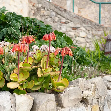 Casa vacanze La Clavelle