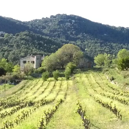 La Clavelle * Sanary-sur-Mer