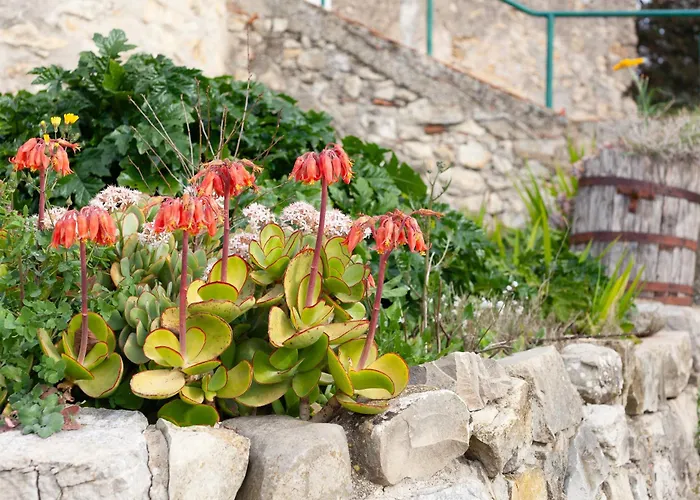 بيت للعطل La Clavelle