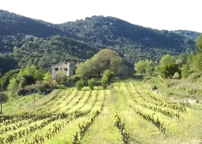 La Clavelle * ساناري سور مير